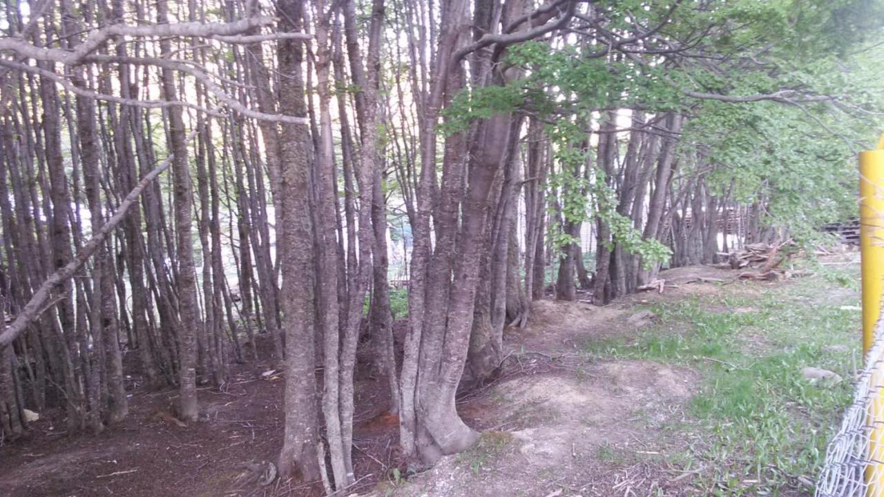 Camping La Encantada Ushuaia Esterno foto